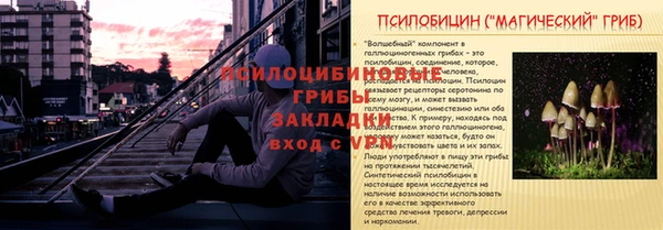соль ск Верхний Тагил