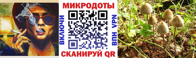 Галлюциногенные грибы Psilocybe  наркошоп  Гремячинск 